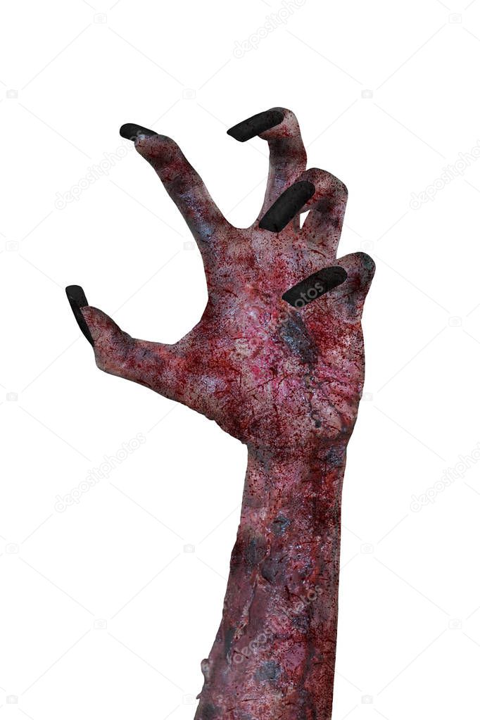 Halloween horror concept. Hand of a female witch with long nails, isolated on white background