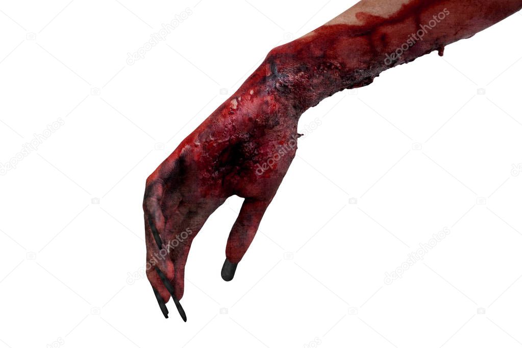 Halloween horror concept. Scary hand of a female ghost, isolated on white background