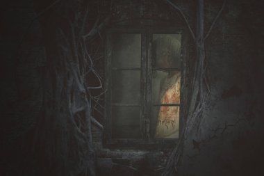 Halloween korku kavramı. Korkunç kadın hayalet windows arkasında dururken kameraya bakıyor. Ürkütücü evinde vurdu