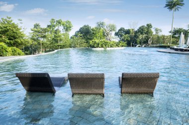 Üç boş şezlong içinde havuz ortadaki görüntü