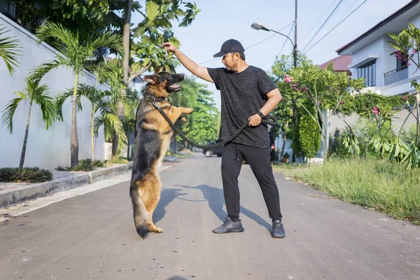 Joven Entrenando Perro Pastor Alemán Camino Disparo Aire Libre —  Fotos de Stock