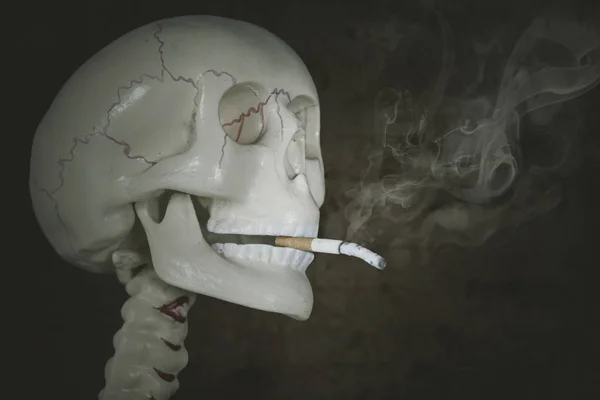 Gros Plan Cigarette Brûlante Dans Les Dents Crâne Humain Tourné — Photo