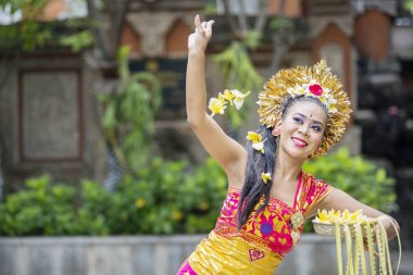 Balili dansçı Pendet dansları tapınakta frangipani çiçekleri atma sırasında performans resmini