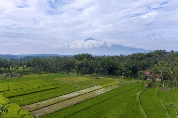 Вид Воздуха Красивые Сельхозугодия Горным Фоном Семаранге Индонезия — стоковое фото