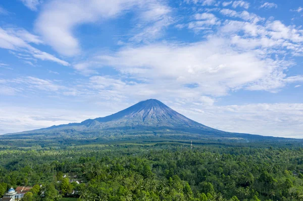 Nádherná Scenérie Hory Semeru Lesem Dopolední Době Východním Javě Indonésii — Stock fotografie