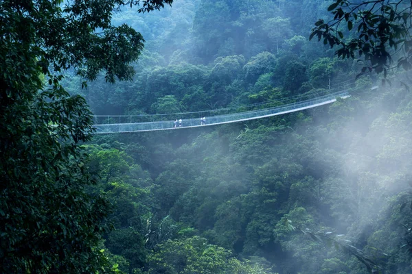 Widok Piękny Most Wiszący Situ Gunung Mglisty Poranek Sukabumi West — Zdjęcie stockowe