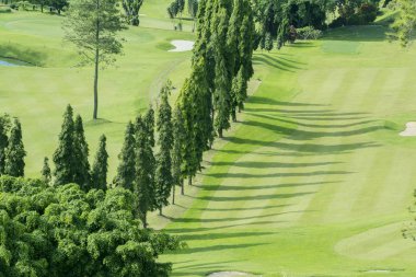 Golf sahasının çam ağacı güneşli gün şehirde Bandung, West Java, Endonezya ile güzel hava manzara