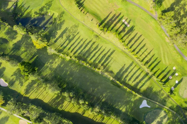 Vista Aérea Del Campo Golf Con Sombra Pinos Día Soleado —  Fotos de Stock