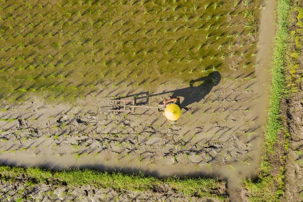 Exploitant agricole masculin travaillant sur les terres agricoles — Photo