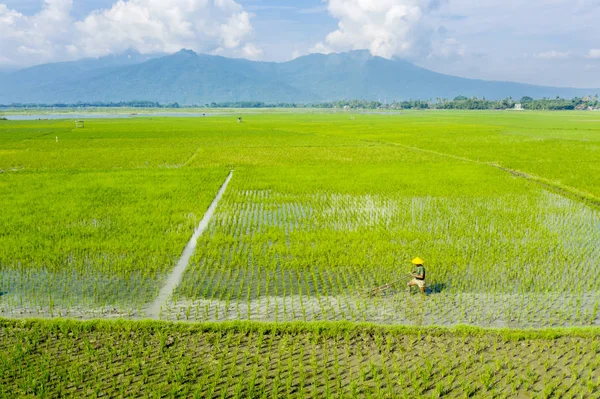 Agricultor arada tierras de cultivo con una herramienta tradicional — Foto de Stock