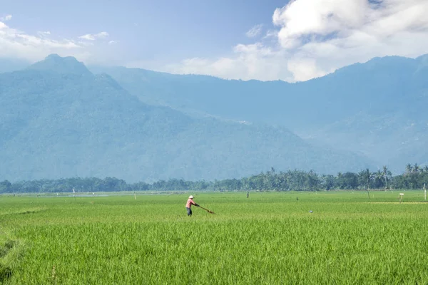 Agriculteur avec un beau fond de montagne — Photo