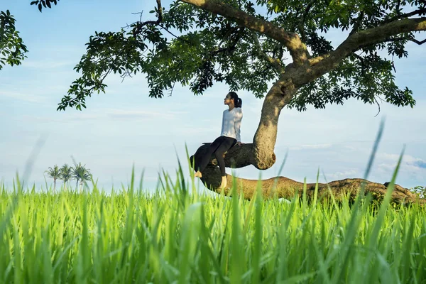 Einsame Frau sitzt auf einem Baum — Stockfoto