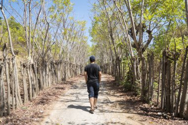 Genç adam tropikal ormanda yürüyor.