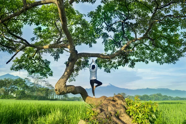 Young woman doing yoga exercise on a tree — Stock Photo, Image