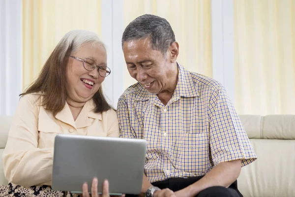 Cheerful old couple using a laptop at home