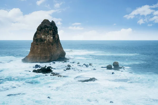 Beautiful big coral on Papuma beach — Stock Photo, Image