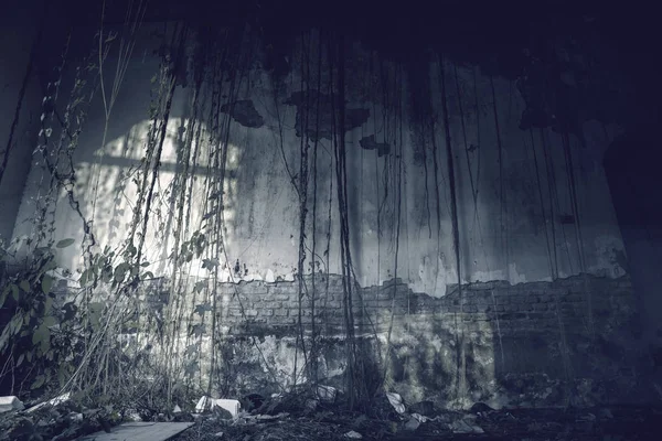 유령의 집에서 담쟁이 덩굴 식물로 덮인 벽돌 벽 — 스톡 사진