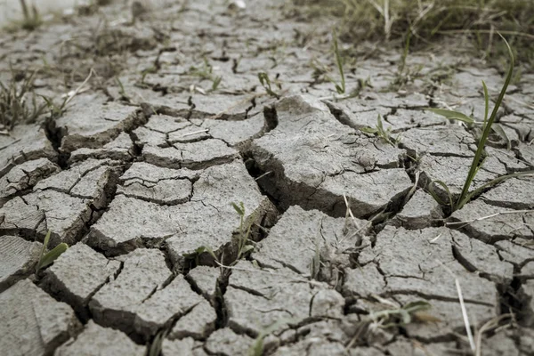 Dried soils and grasses at dry season — Stock Photo, Image