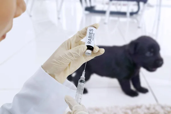 Dierenarts die vaccin voor een puppy hond geeft — Stockfoto