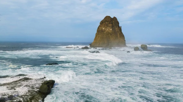 Gran coral en la playa de Papuma —  Fotos de Stock