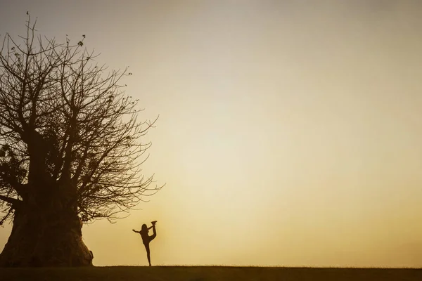Молодая женщина занимается йогой возле большого дерева — стоковое фото