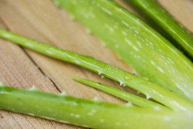 Masanın üzerinde taze aloe vera bitki 