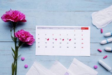 Pedli, tamponlu, haplı ve güllü takvim