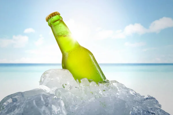 Close Fresh Beer Bottle Stack Ice Cubes Tropical Beach Background — Stock Photo, Image
