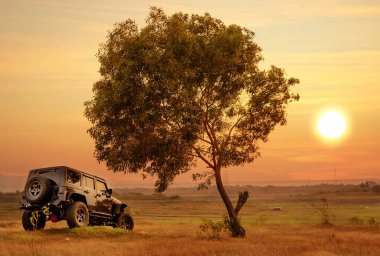 Günbatımı arka planında, büyük ağacın yanına park edilmiş siyah bir araba görüntüsü.