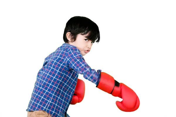 在演播室里锻炼的时候戴着拳击手套的可爱小男孩的近照 因白人背景而被隔离 — 图库照片