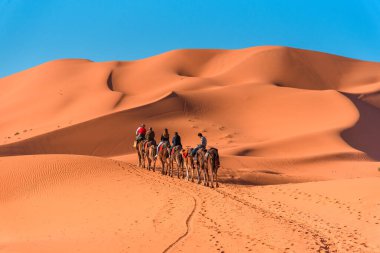 Karavan Fas 'taki Merzouga Sahra Çölü' nde yürüyor.