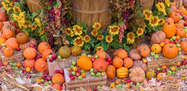 Mevsimlik meyve ve sebzelerle sonbahar konsepti — Stok fotoğraf