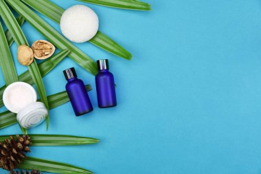 Kozmetik şişe kapları ile yeşil bitki yaprakları, marka mock-up, doğal organik güzellik ürün kavramı için boş etiket paketi.