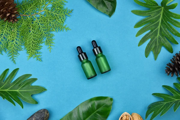 Kozmetik şişe kapları ile yeşil bitki yaprakları, marka mock-up, doğal organik güzellik ürün kavramı için boş etiket paketi.