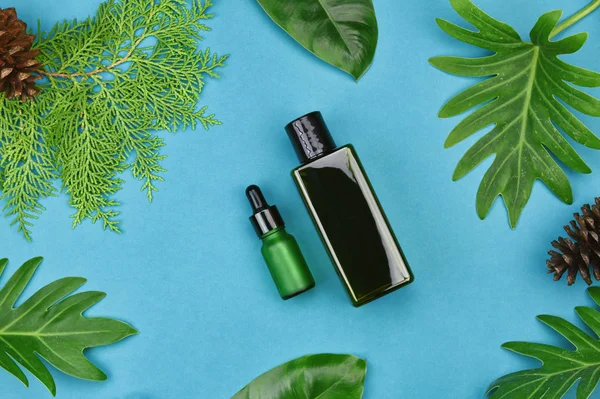 Yeşil Bitkisel Kozmetik şişe kaplarda bırakır arka plan, marka mock-up, doğal organik Cilt Bakımı Güzellik ürün kavramı için boş etiket.