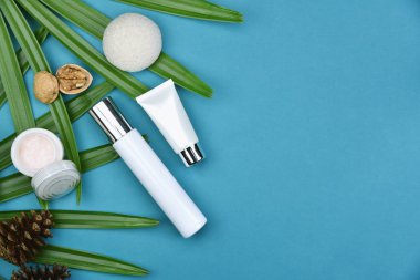 Yeşil Bitkisel Kozmetik şişe kaplarda bırakır arka plan, marka mock-up, doğal organik Cilt Bakımı Güzellik ürün kavramı için boş etiket.