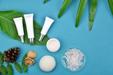 Yeşil Bitkisel Kozmetik şişe kaplarda bırakır arka plan, marka mock-up, doğal organik Cilt Bakımı Güzellik ürün kavramı için boş etiket.