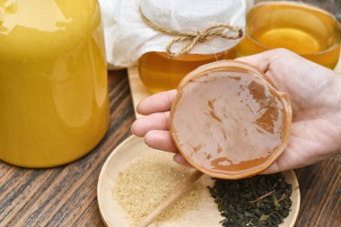 Scoby, el ile kombucha çayı, çay mantar tutarak sağlıklı fermente gıda, probiyotik beslenme içecek iyi bir denge sindirim sistemi için.