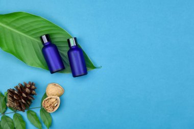 Yeşil Bitkisel Kozmetik şişe kaplarda bırakır arka plan, marka mock-up, doğal organik Cilt Bakımı Güzellik ürün kavramı için boş etiket.