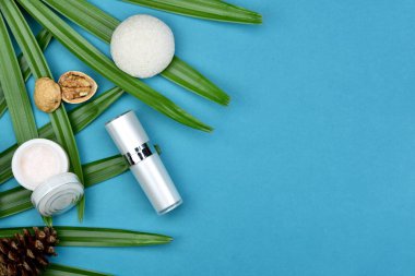 Yeşil Bitkisel Kozmetik şişe kaplarda bırakır arka plan, marka mock-up, doğal organik Cilt Bakımı Güzellik ürün kavramı için boş etiket.