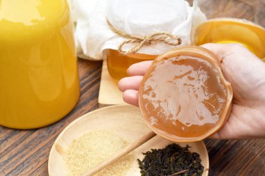 Scoby, el ile kombucha çayı, çay mantar tutarak sağlıklı fermente gıda, probiyotik beslenme içecek iyi bir denge sindirim sistemi için.