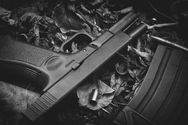Оружие и пули, Оружие и военная техника для армии, 9 мм пистолет на фоне сухих листьев леса
.