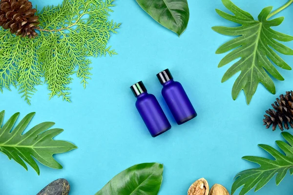 Kozmetik Cilt bakım şişe kapları ile yeşil bitki yaprakları, marka mock-up, doğal organik güzellik ürün kavramı için boş etiket paketi.