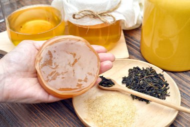 Scoby, el ile kombucha çayı, çay mantar tutarak sağlıklı fermente gıda, probiyotik beslenme içecek iyi bir denge sindirim sistemi için.