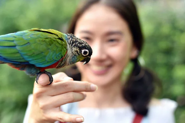 Milieu Mens Natuur Concept Parrot Vogel Jong Meisje Hand Smiling — Stockfoto