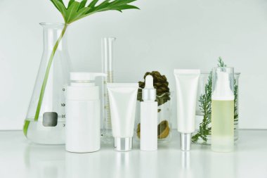 Şişe yeşil bitki yaprakları, marka tasarlamak için boş etiket paketi ile konteyner kozmetik ve cilt bakımı doğal organik güzellik ürün araştırma ve geliştirme kavramı.