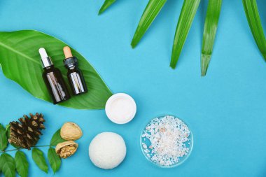 Yeşil Bitkisel Kozmetik şişe kaplarda bırakır arka plan, marka mock-up, doğal organik Cilt Bakımı Güzellik ürün kavramı için boş etiket. 