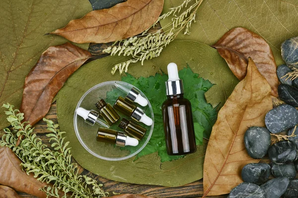 Cosmetics by pure natural plant, Organic beauty spa product on green leaf, Skincare blank bottle packaging with leaves herb, Moisturizing and dry damage care concept.