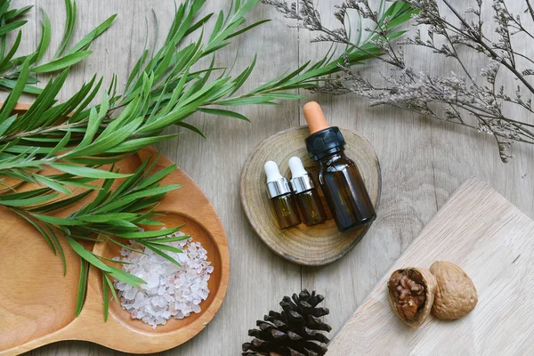 Kontainer botol kosmetik dikemas dengan daun herbal hijau, label kosong untuk mengejek merek organik, konsep produk kecantikan perawatan kulit alami. — Stok Foto
