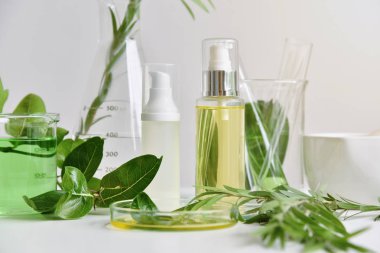 Doğal Cilt Bakımı güzellik ürünleri, doğal organik botanik çıkarma ve bilimsel Züccaciye Mağazaları, marka mock-up kozmetik kapsayıcısı boş etiket.